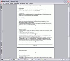 Wygenerowana licencja w formacie PDF